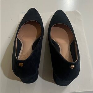 Zara Navy Pointed Toe Suede Flats with Gold Accent